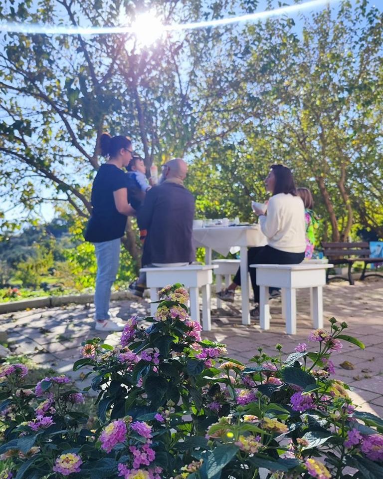 Villa Agri Art San Benedetto Ullano Exterior foto